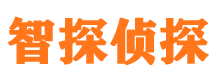 黄冈智探私家侦探公司